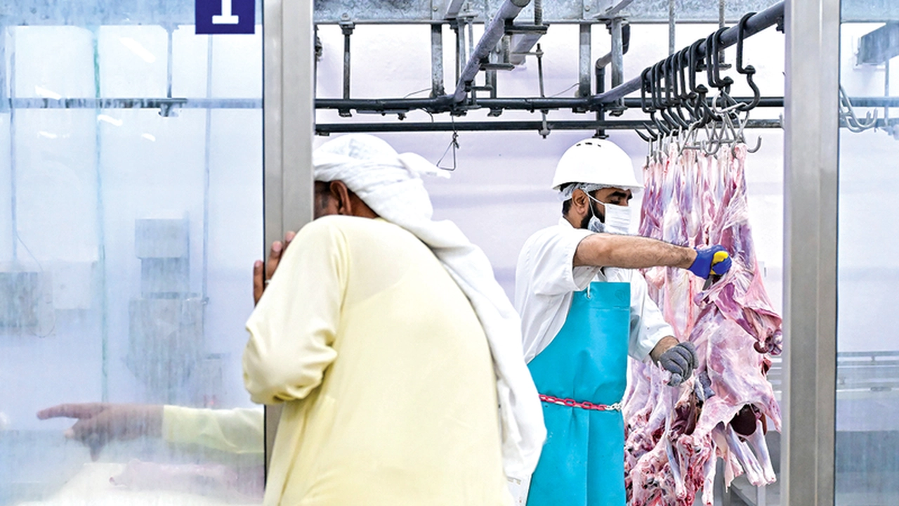 مقاصب دبي تستقبل 18.4 ألف أضحية خلال عطلة العيد